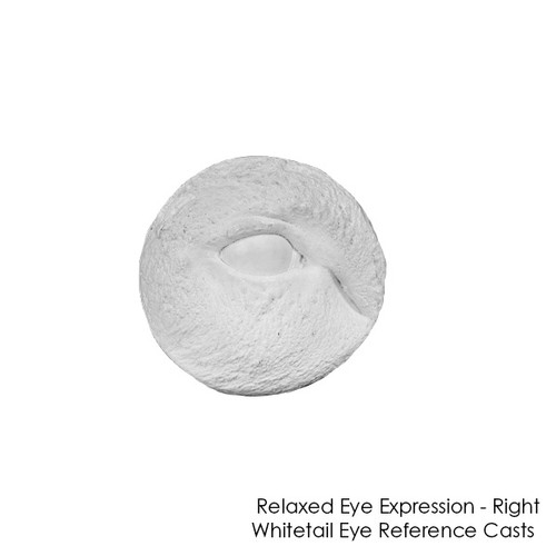 Reference Casts-Whitetail Eye