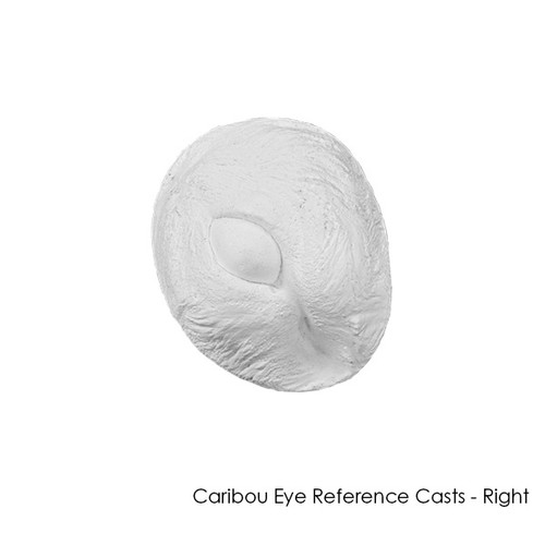 Reference Casts-Caribou Eye