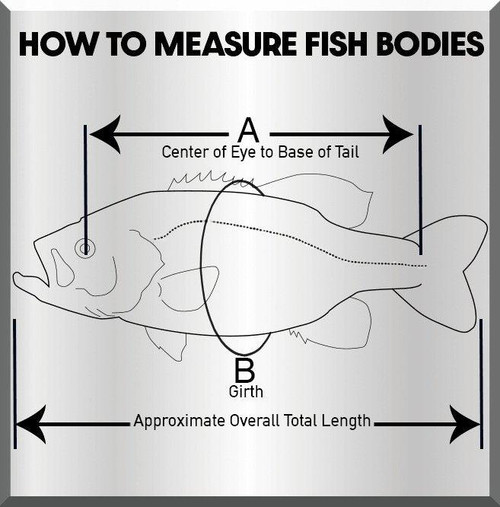 Bluegill Fish On Fish Form