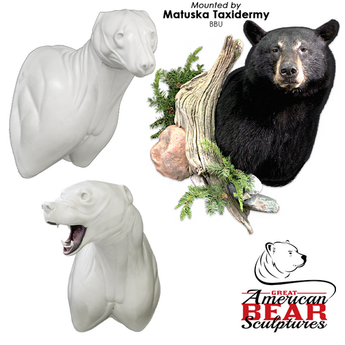 Bear | Black (Semi-Upright Offset)