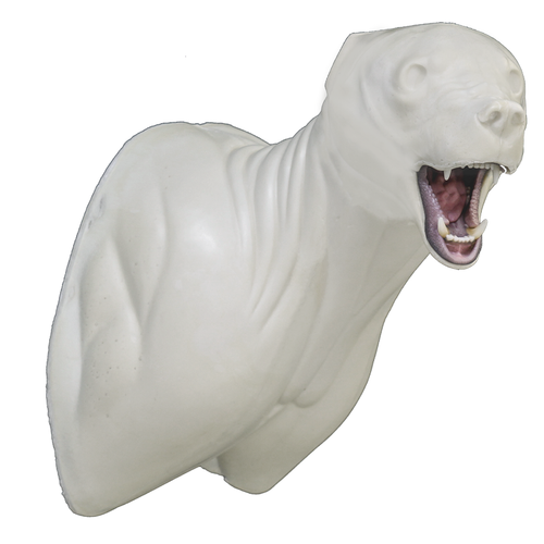 Bear | Black (Semi-Upright Offset)