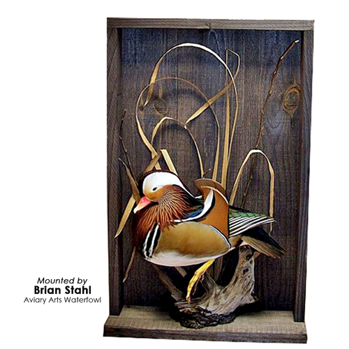 Panels | Shadow  (Rustic)