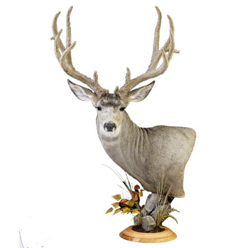 Rock Base -Artificial Shale (Medium Round)