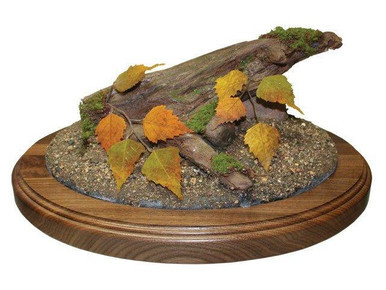 Base | Thick Oval w/ Dirt Inserts