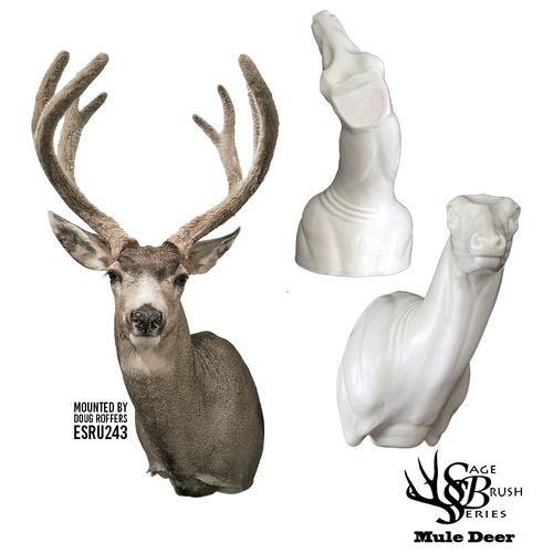 Mule Deer | SB (Early Season Relaxed Upright)