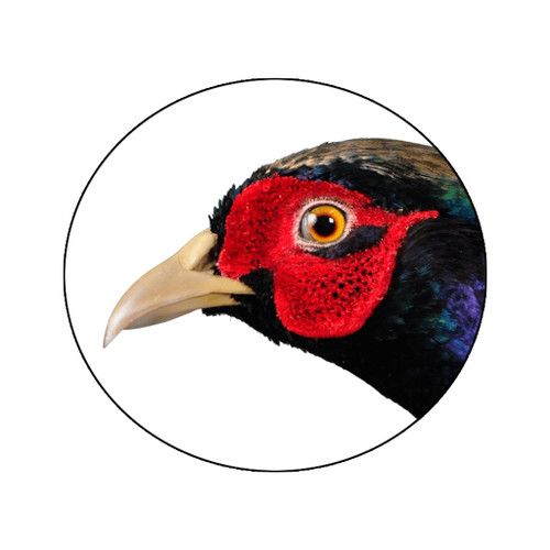 Pheasant Wattle Red - Flocking