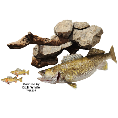 Rock/Driftwood Wall Scenery