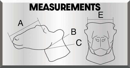 Deer-Whitetail by Matuska