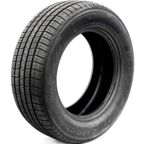 Shop for the best EVOLUXX tires on the market at Tires.auto. Lowest cost tires for the best quality, delivered to your doorstep. Order your Evoluxx Capricorn HP 225/60R16 98H today!