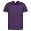 A purple men's classic V-neck T-shirt, featuring short sleeves and a simple design. It has a logo at the neck.