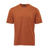 A brown men's t-shirt with short sleeves and a round neckline, featuring a logo on the label.