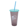 A drink bottle featuring a frosted design with a teal lid and straw, and a logo on the front.