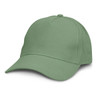 A green cap with a curved brim and a logo on the front. The design features a six-panel structure.