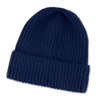 A navy blue beanie with a ribbed texture and a folded cuff, featuring a logo on the side.