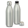 A drink bottle duo in matte silver aluminium, featuring one bottle with a screw-on lid beside it.