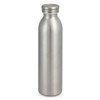 A drink bottle with a sleek stainless steel finish, featuring a simple design and a metallic cap.