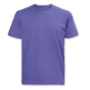 A plain purple men's t-shirt featuring a round neckline and short sleeves, with a branding logo.