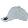 A grey cap with a curved brim and a logo on the side, featuring adjustable sizing for comfort.