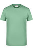 A mint green men's t-shirt with a round neckline and short sleeves, featuring a logo on the upper side.