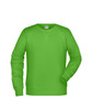 A green men's jumper with long sleeves and a round neckline. It features a logo on the label.
