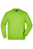 A bright green sweatshirt with a crew neckline and long sleeves. It features a label inside the collar.