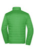 A padded puffer jacket in vibrant green, featuring quilted detailing and a high collar. Designed for warmth and comfort.