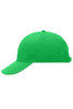 A green 6 panel sandwich cap with a curved brim and a logo on the side.