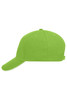 A vibrant green 5 panel sandwich cap featuring a curved brim and a rear adjustable strap. It has a logo on it.