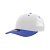 A structured trucker cap featuring a blue peak and white mesh panels, with a logo on the front.