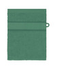 A green hand towel featuring a textured band and a hanging loop. It has a simple design and soft texture.