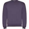 A purple sweatshirt features a crew neck and long sleeves, with a logo on the front.