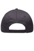 A black 6 panel brushed sandwich cap displayed from the back, featuring an adjustable strap.