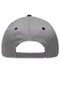 A grey 6 panel brushed sandwich cap featuring a back strap and a logo on the rear.
