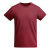 A burgundy t-shirt with a classic crew neckline and short sleeves, featuring a logo.