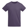 A purple T-shirt with a classic crew neck and short sleeves. The shirt features a logo.