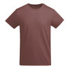 A brown T-shirt with short sleeves and a simple, classic design. It features a small logo.