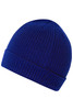A blue beanie with a ribbed texture and a folded hem, featuring a logo.