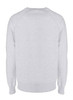 A grey sweatshirt with a crew neck and long sleeves, featuring a simple design and a branding logo.