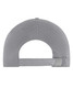 A grey 6-panel cap featuring a textured fabric and an adjustable back strap, with a branding logo present.