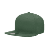 A green 6 panel high profile structured snapback hat with a flat brim and a logo.