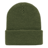A green beanie with a ribbed texture and a folded cuff, featuring a logo on the side.