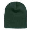 A green beanie with a ribbed texture and a rounded top. The image features a simple design without any logos.