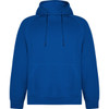 A blue hooded sweatshirt with a kangaroo pocket and a drawstring hood. It features a logo.