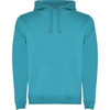 A turquoise hooded sweatshirt with a front pocket and drawstring hood, featuring a logo on the chest.