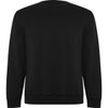 A black Batian sweatshirt with a crew neckline and long sleeves. It features a simple design and a brand logo.