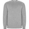A grey sweatshirt with a crew neck and long sleeves, featuring a simple design and no visible branding.