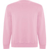 A pink Batian sweatshirt made from soft material, featuring long sleeves and a crew neck design.