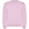 A pink sweatshirt with a crew neckline and long sleeves. It has a small logo on the neckline.