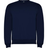 A navy blue sweatshirt with a round neckline and long sleeves. It features a simple design and has a logo.