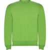 A bright green sweatshirt with a classic crew neck and long sleeves. It features a logo on the neckline.
